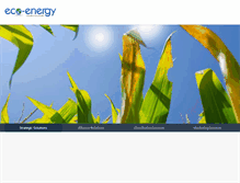 Tablet Screenshot of eco-energy.com